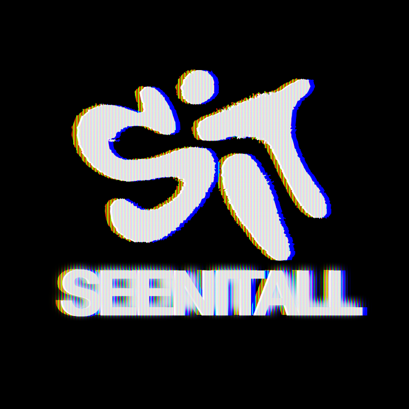 SEENITALL ZINE